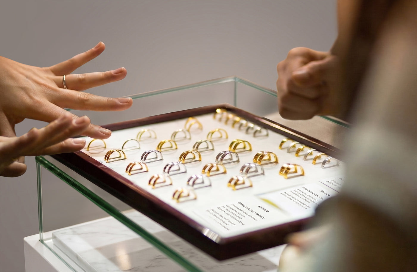 What To Expect